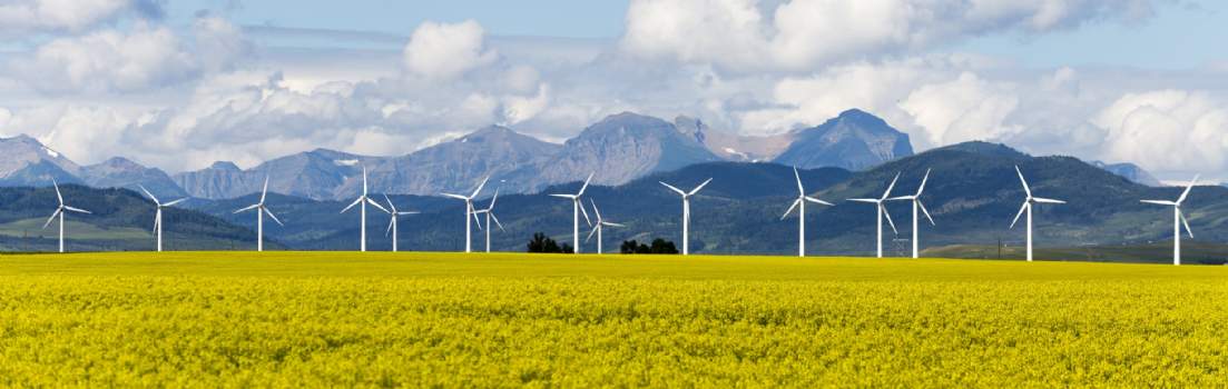 ESG and Sustainability ESG and Sustainability